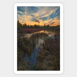 Autumn Dolly Sods Sunset Sticker